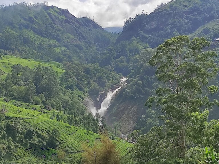 Attukad Waterfalls and tea plantation – 13.4 kms from the resort