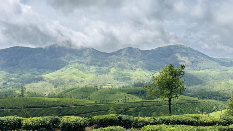 Best Time to Visit Munnar and Where to Stay