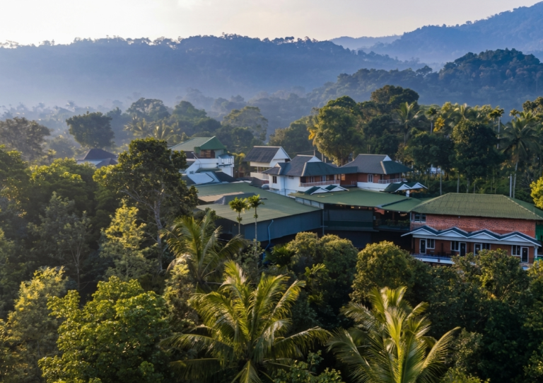 Luxury Stay and Ayurveda: The Perfect Combination in Munnar